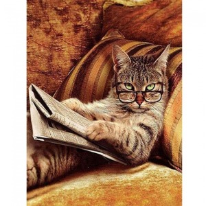  Keyfekeder Kedi Sayılarla Boyama Seti Kasnaklı  40 x 50