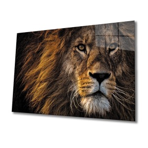 Aslan 11 Cam Tablo