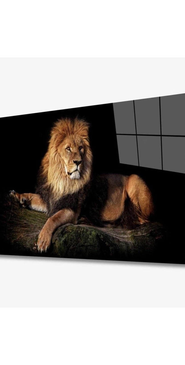 Aslan Hayvan Cam Tablo 4mm Dayanıklı Temperli Cam