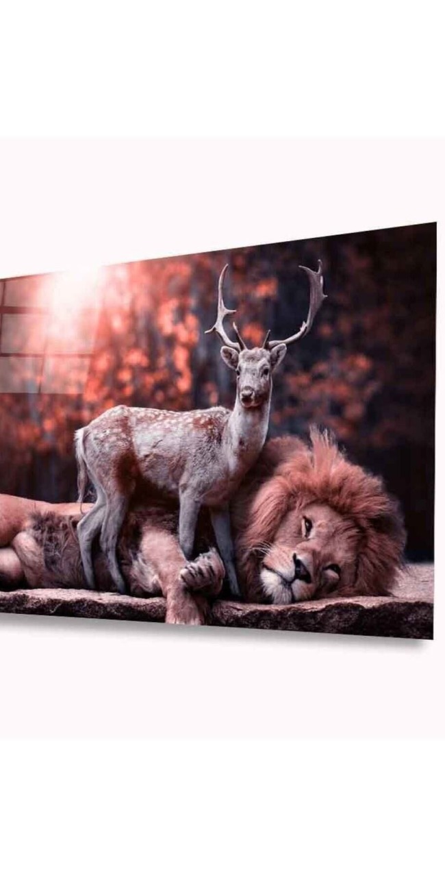 Aslan ve Geyik Cam Tablo 4mm Dayanıklı Temperli Cam