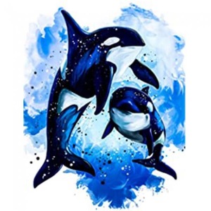  Mavi Sular ve Orca Sayılarla Boyama Seti Kasnaklı  40 x 50